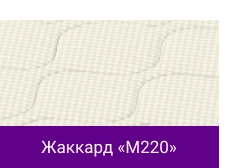 Жаккард «M220».png Жаккард «M220».png